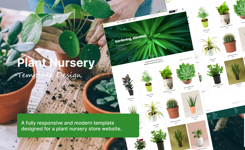 plants
